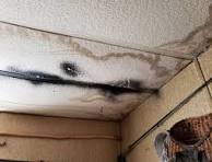 Expert Water Damage Service Pros